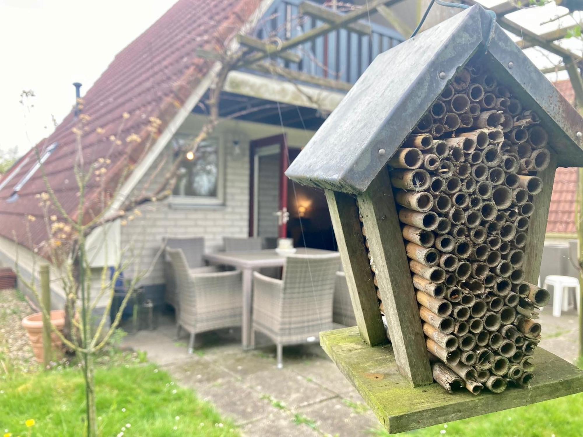 De Druif 6 Pers Holiday Home Close To The National Park Lauwersmeer Anjum Exterior foto
